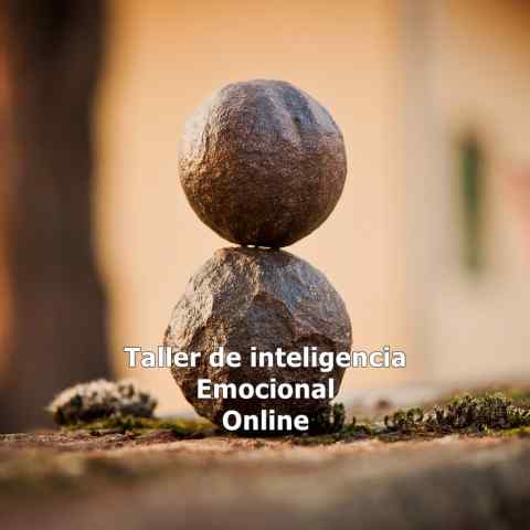 taller inteligencia emocional Online