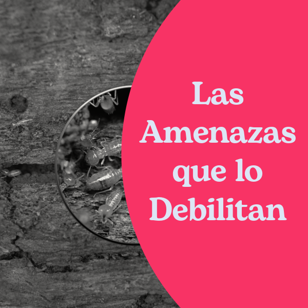 las amenazas que lo debilitan (1)