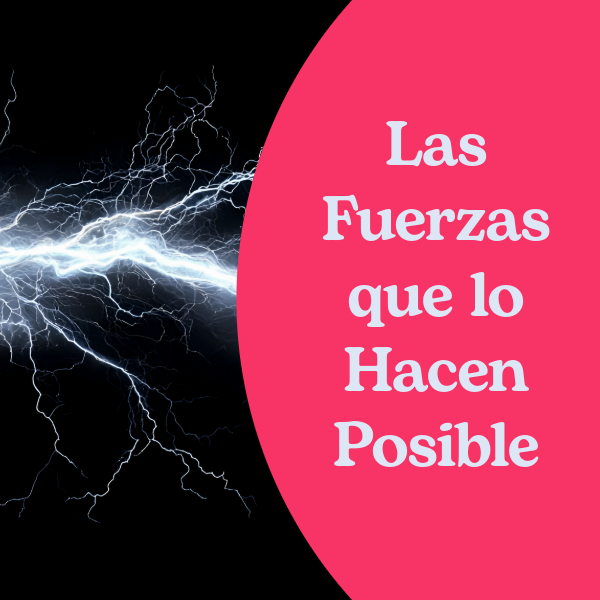 las fuerzas que lo hacen posible