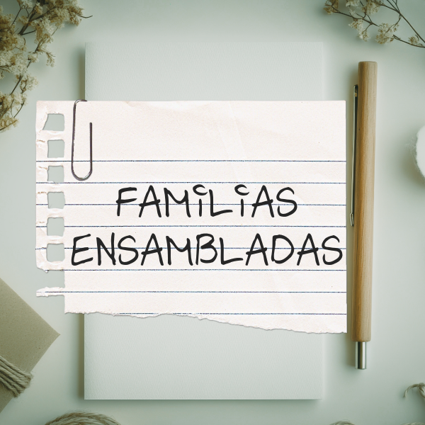 familias ensambladas (1)